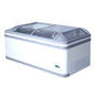 Curved glass freezer (550Lt )(Just Refrigeration)