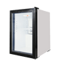 FRIDGE STAR FULL HEIGHT HINGED GLASS DOOR (74 LT)