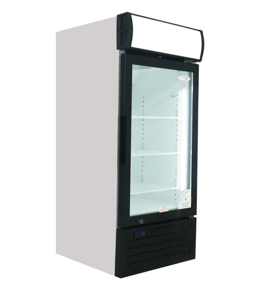 FRIDGE STAR SINGLE HINGED GLASS DOOR COOLER (238 LT)